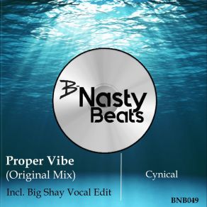 Download track Cynical (Vocal Edit) Proper VibeBig Shay