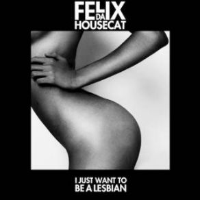 Download track I Just Want To Be A Lesbian (Riton Remix) Felix Da Housecat, Romina CohnRiton