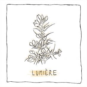 Download track Lumière GIF