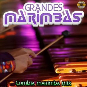 Download track Mi Trokita Marimba De Chiapas