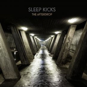 Download track Words In Vain Sleep Kicks