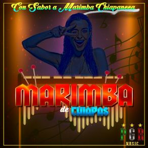 Download track Yo Soy Un Muchacho Guapo Marimba ChiapasMarimba