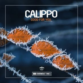 Download track Good For You (Instrumental Mix) Calippo