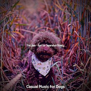 Download track Trio Jazz Soundtrack For Lonely Dogs Casual Music For Dogs