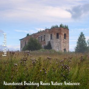 Download track Abandoned Building Ruins Nature Ambience, Pt. 13 Steve Brassel