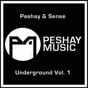 Download track Jammer Peshay, The Sense