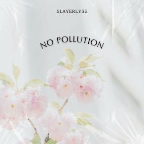 Download track No Pollution (Radio Edit) Slayerlyse