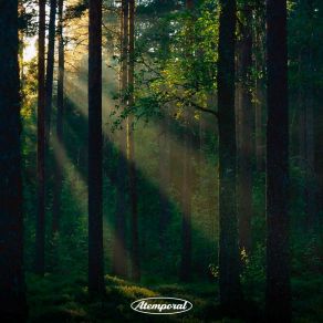 Download track Forest Trails Riinholm