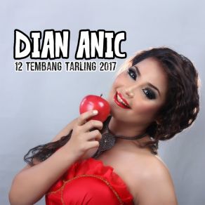 Download track Pacar Simpanan Dian Anic