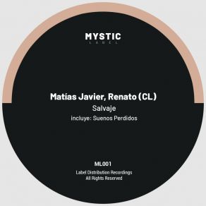 Download track Salvaje (Original Mix) Matias JavierRenato (CL)