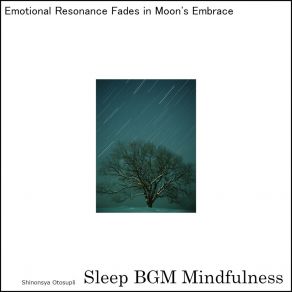 Download track Memory Dreams Under The Night Sky Sleep BGM Mindfulness