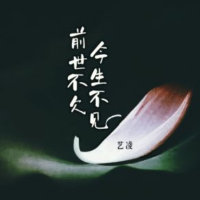 Download track 前世不欠今生不见 (伴奏) 艺凌