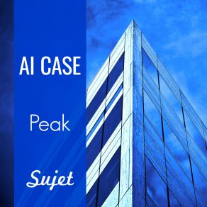 Download track Level Ai Case