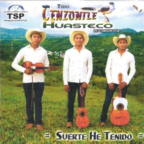 Download track Pena Tras Pena Trío Cenzontle Huasteco