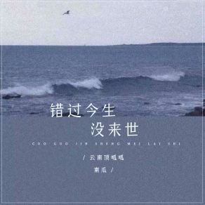 Download track 错过今生没来世 云南顶呱呱南瓜