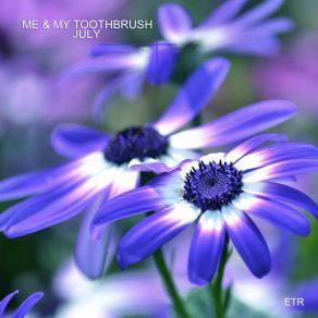 Download track July (Nora En Pure Remix) Me My Toothbrush