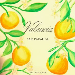 Download track Patacona (Original Mix) Sam Paradise