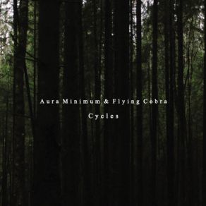 Download track November Sky Flying Cobra, Aura Minimum