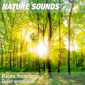 Download track Nature Sounds For Zen Meditation & Shiatsu Massage (Peaceful Forest, Wind) 11 Nature SoundsThe Wind