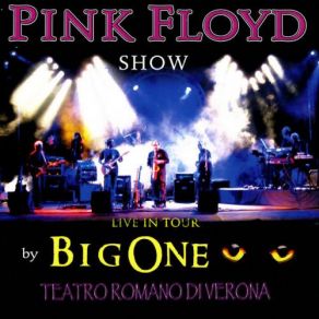 Download track Shine On You Crazy Diamond Big One