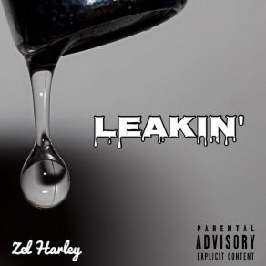 Download track Leakin Zel Harley