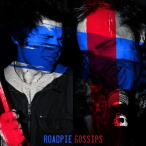 Download track Useless Song Roadpie