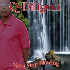 Download track I'm The Big Deal Q-Diligent