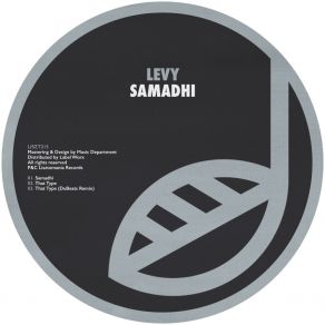 Download track Samadhi (Original Mix) Levy