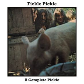 Download track I Love Every Little Thing About You Fickle Pickle