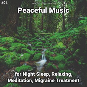 Download track Peaceful Music, Pt. 27 Yoga