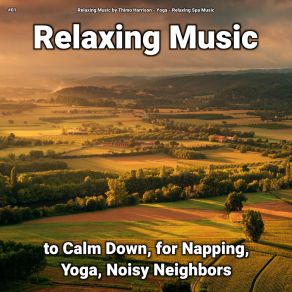 Download track Relaxing Music For Mindfulness Relaxing Spa Music