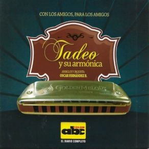 Download track A Mi Pueblo San Jose / Canta A Itacurubi / Che Valle Pirayumi' Tadeo Gomez