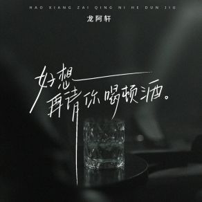 Download track 好想再请你喝顿酒 (烟嗓版) 龙阿轩