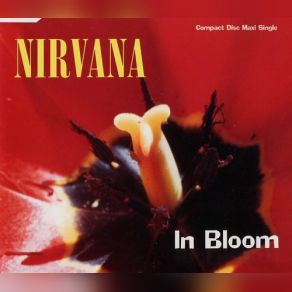 Download track In Bloom (Lp Version) Nirvana