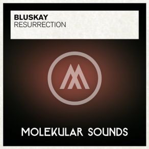 Download track Resurrection (Original Mix) BluSkay