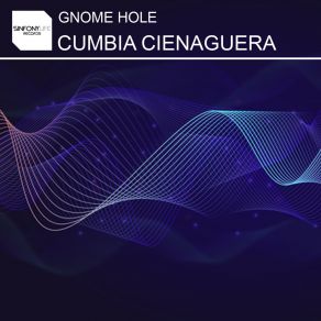 Download track Cumbia Cienaguera Gnome Hole