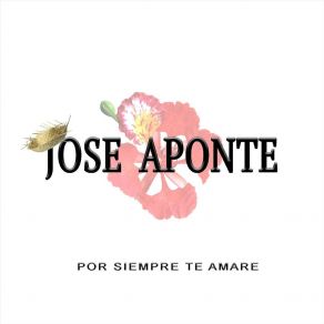 Download track Hoy Tengo Ganas De Ti Jibara José Aponte