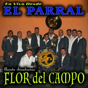 Download track Las Gaviotas (En Vivo Desde El Parral) Banda Sinaloense Flor Del Campo