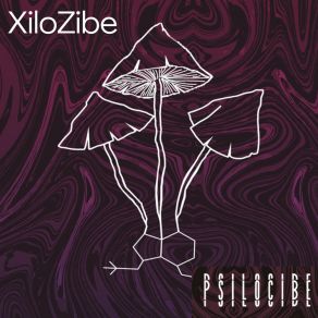 Download track Intro XiloZibe