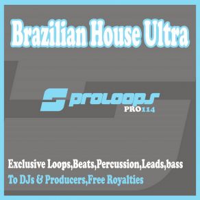 Download track Brazilian House Ultra Deats5 128 (Tool 19) South Killah