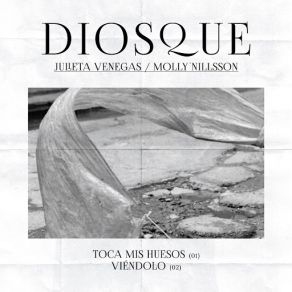 Download track Viéndolo (Molly Nilsson) DiosqueMolly Nilsson