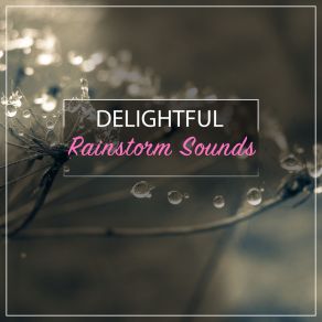 Download track Exotic Rain Sleeping Sound