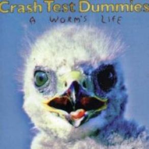 Download track He Liked To Feel It Crash Test Dummies