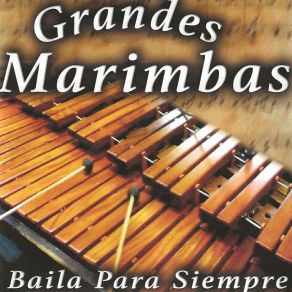 Download track Un Cumbia De Dará Yolanda Grandes Marimbas