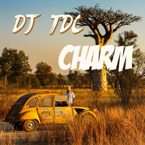 Download track Reste Chez Toi DJ TDC