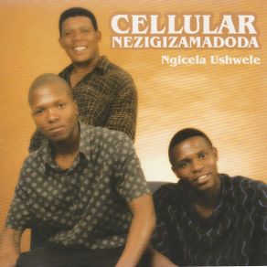 Download track Imali Cellular Nezigizamadoda