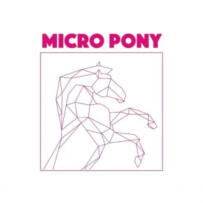 Download track The Big Crunch Micro Pony