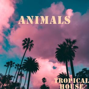 Download track Lady Tropical House