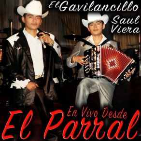 Download track Querido Amigo (En Vivo) Saul Viera 