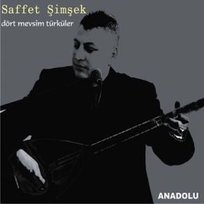 Download track Dinle Sana Bir Nasihat Edeyim Saffet Şimşek